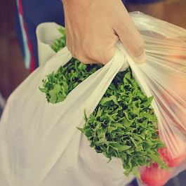 ผลิตภัณฑ์ไบโอพลาสติกสำหรับฟิล์มและบรรจุภัณฑ์แบบอ่อน