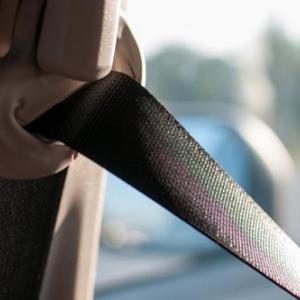 icon Belt Guide