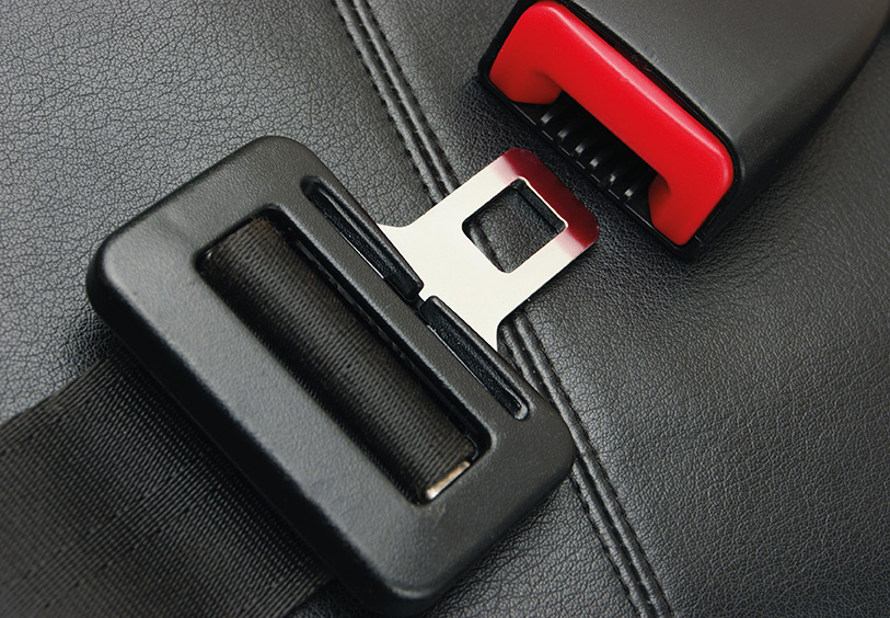 Seat Belt Case